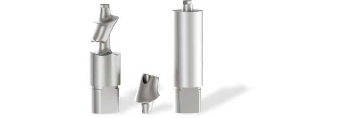 Custom Abutment