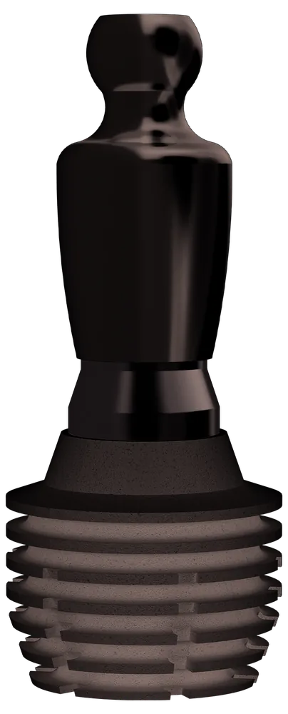 i-ball abutment on the i-System implant